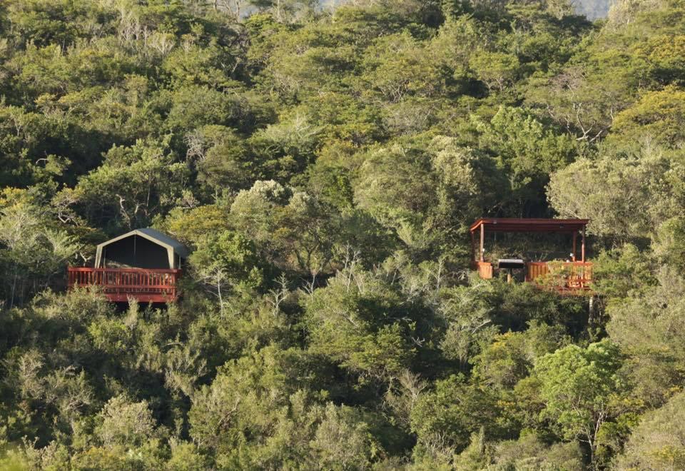 Horseshoe Game Reserve Іст-Лондон Екстер'єр фото